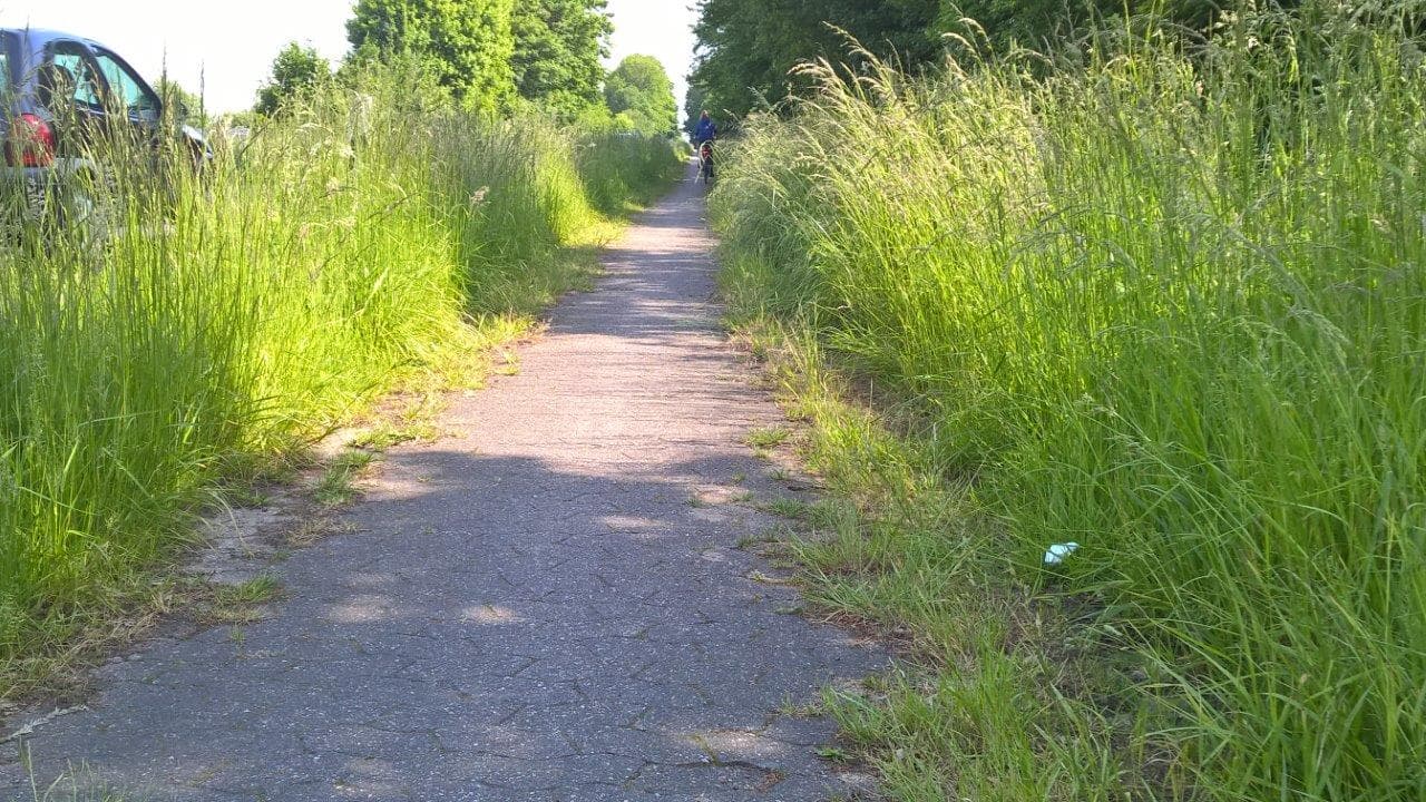CDU-Fraktion fordert Sanierung des Radweges