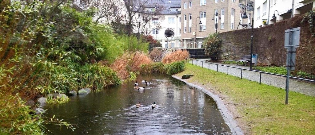 CDU-Antrag: Wasser im Graben wieder herstellen