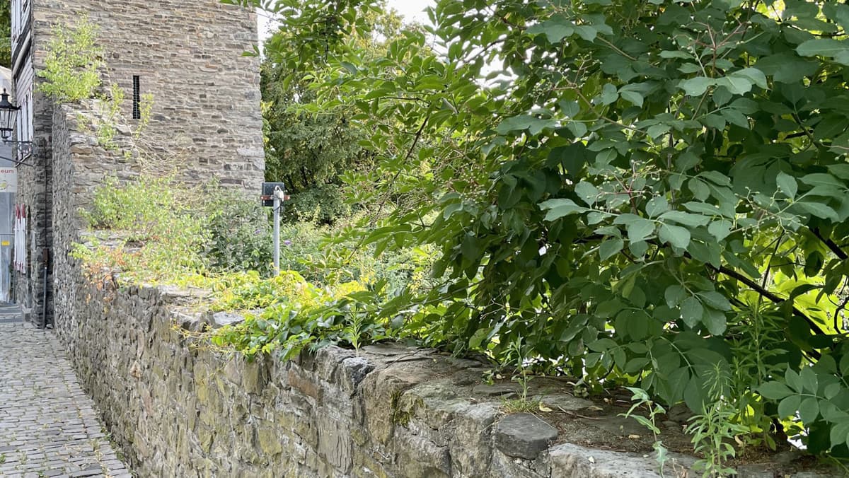 Stadtrat votiert einstimmig für Weitersanierung der Stadtmauer